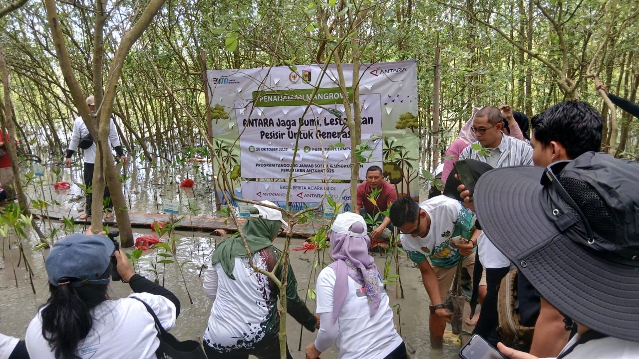 penanaman-magrove-di-desa-purworejo